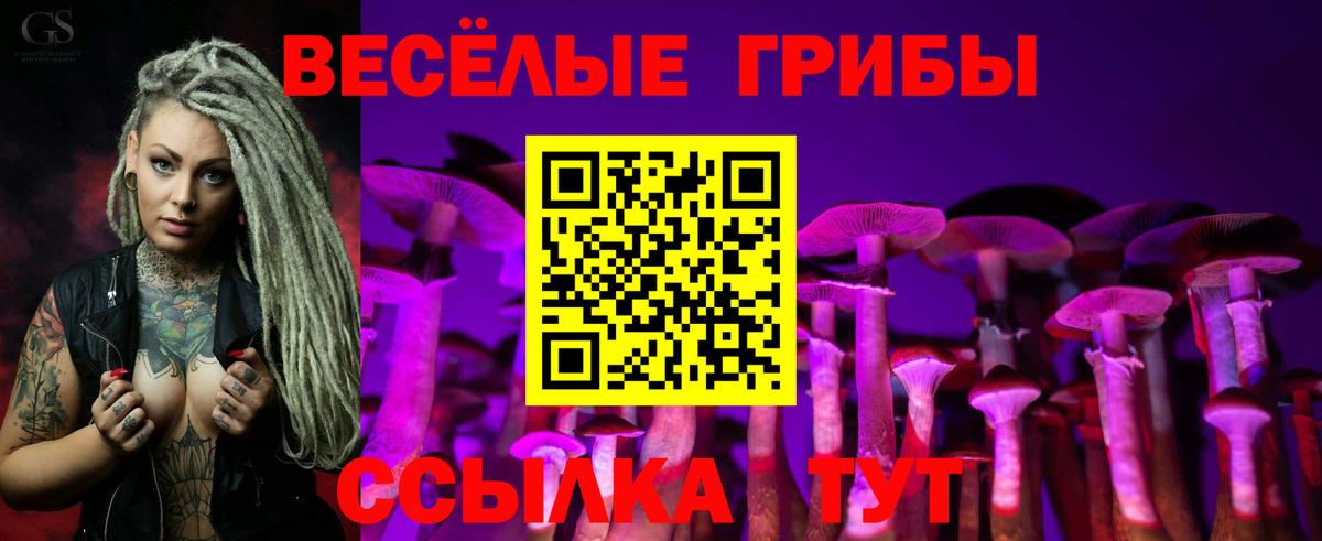 Псилоцибиновые грибы Magic Shrooms  Вход с VPN  Арзамас 